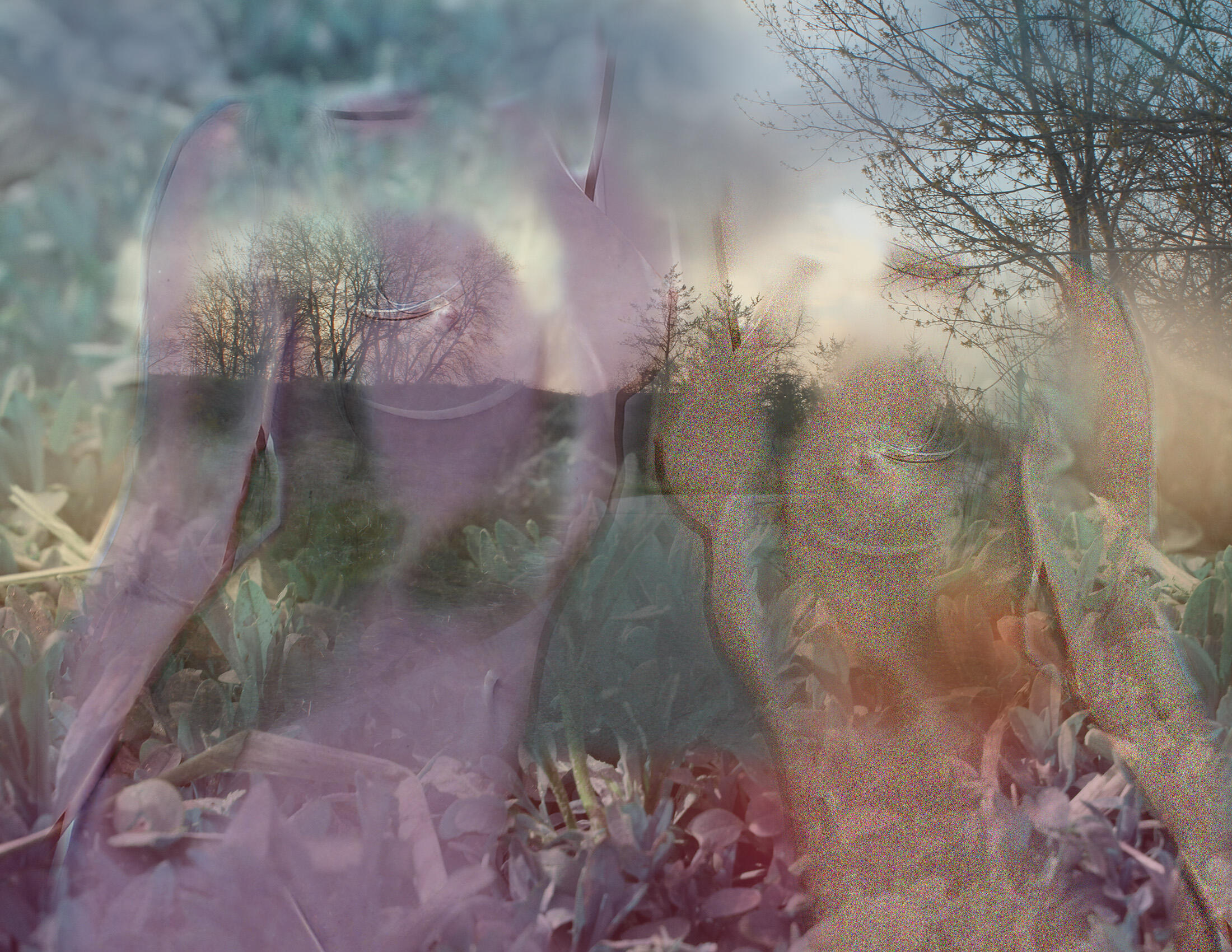 Untitled Untitled